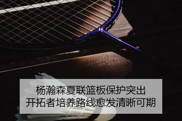 杨瀚森夏联篮板保护突出 开拓者培养路线愈发清晰可期