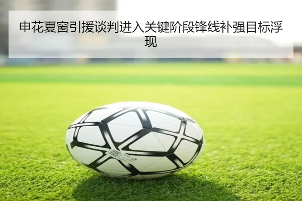 申花夏窗引援谈判进入关键阶段锋线补强目标浮现